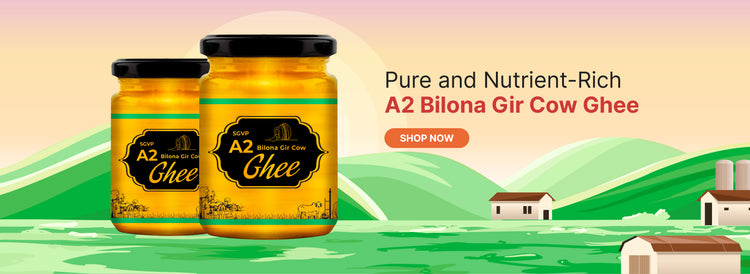 A2 Bilona Gir Cow Ghee traditional pure desi ghee for healthy cooking