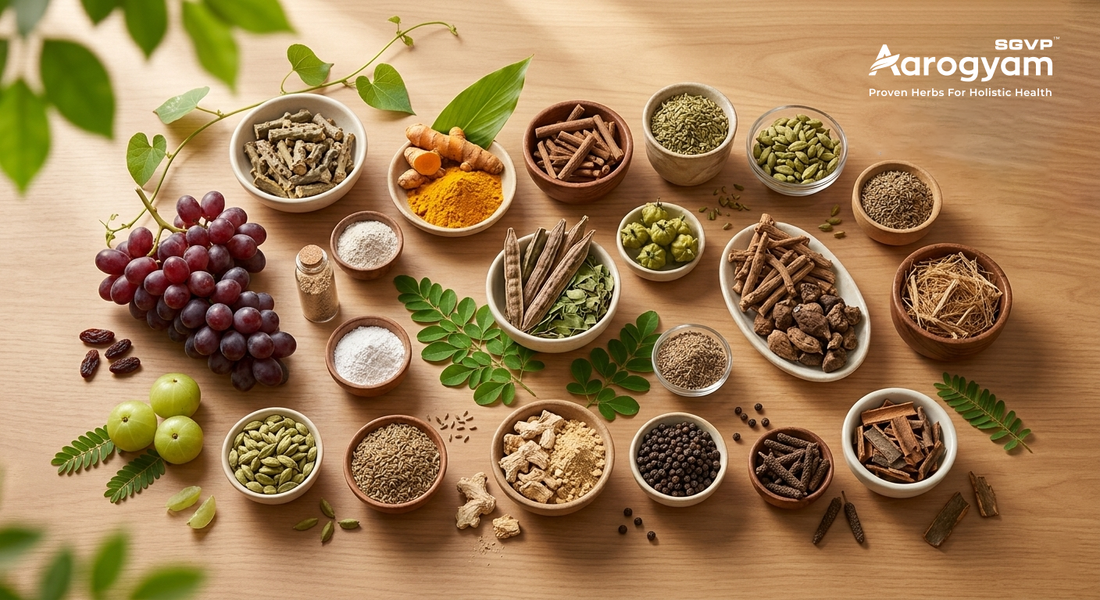 SGVP Aarogyam Ayurvedic products for summer wellness