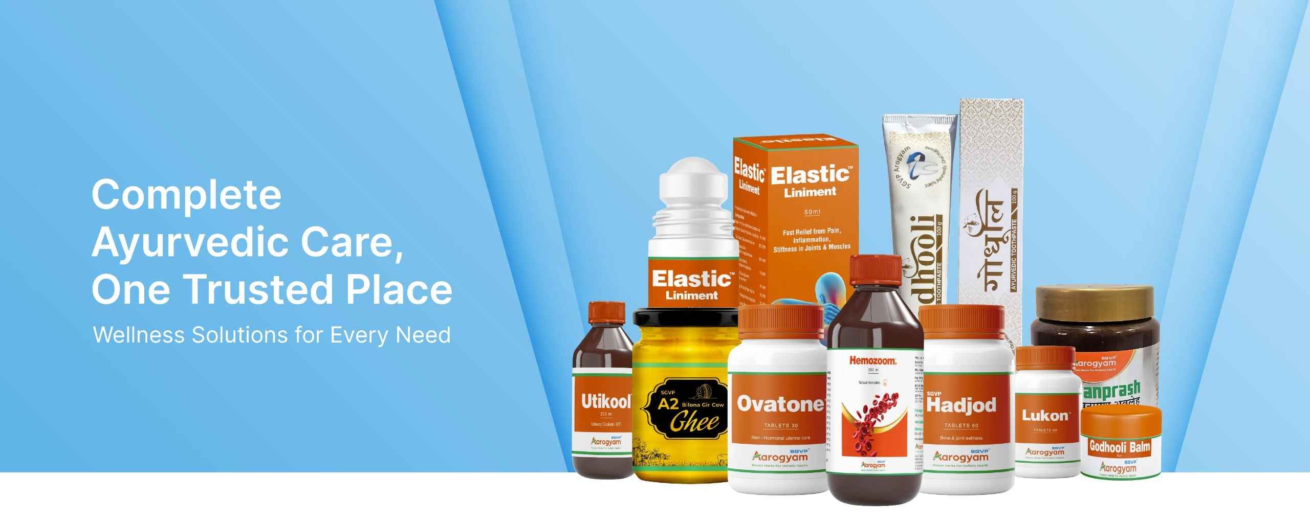 Shop Ayurvedic medicines and herbal wellness products at SGVP Aarogyam